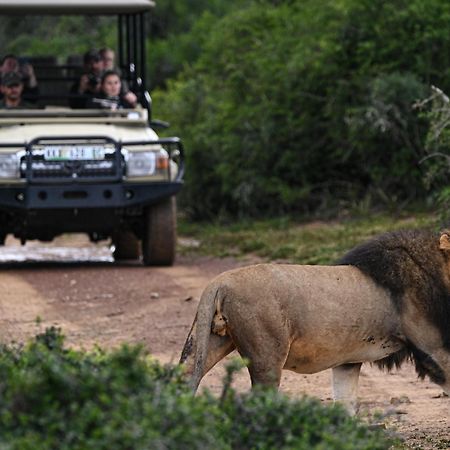 Addo Elephant Safari Lodge - Bellevue Forest Reserve Paterson Экстерьер фото