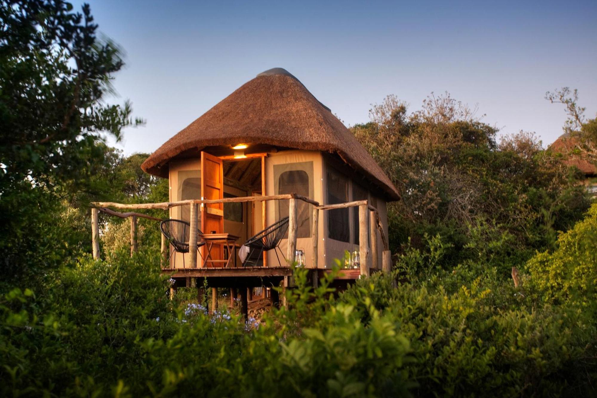 Addo Elephant Safari Lodge - Bellevue Forest Reserve Paterson Экстерьер фото