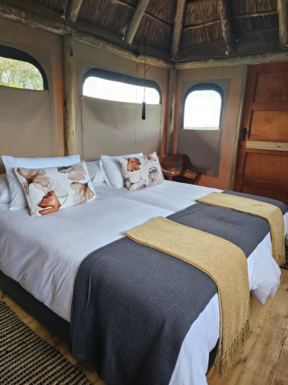 Addo Elephant Safari Lodge - Bellevue Forest Reserve Paterson Экстерьер фото