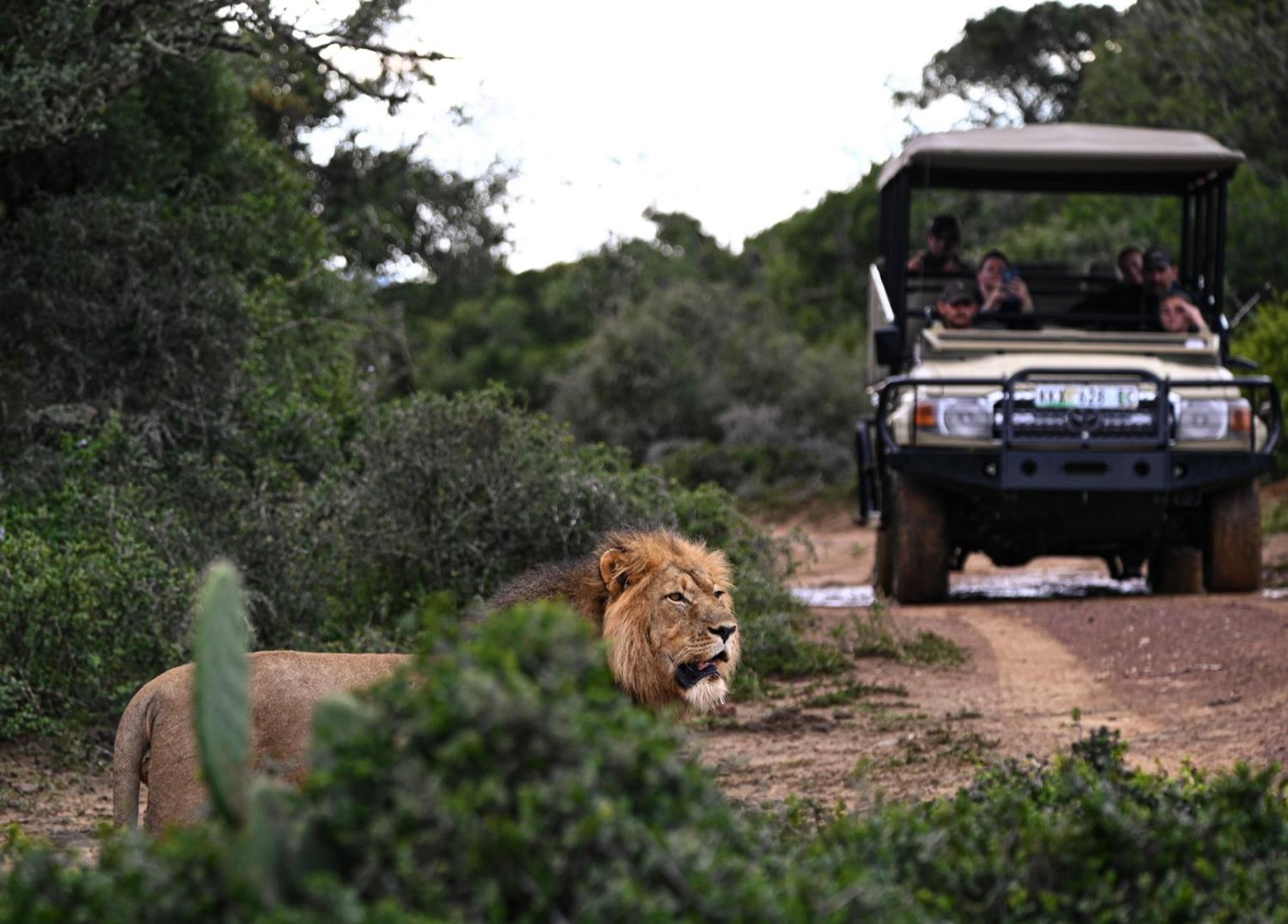 Addo Elephant Safari Lodge - Bellevue Forest Reserve Paterson Экстерьер фото