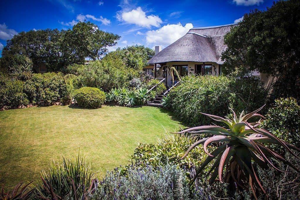 Addo Elephant Safari Lodge - Bellevue Forest Reserve Paterson Экстерьер фото