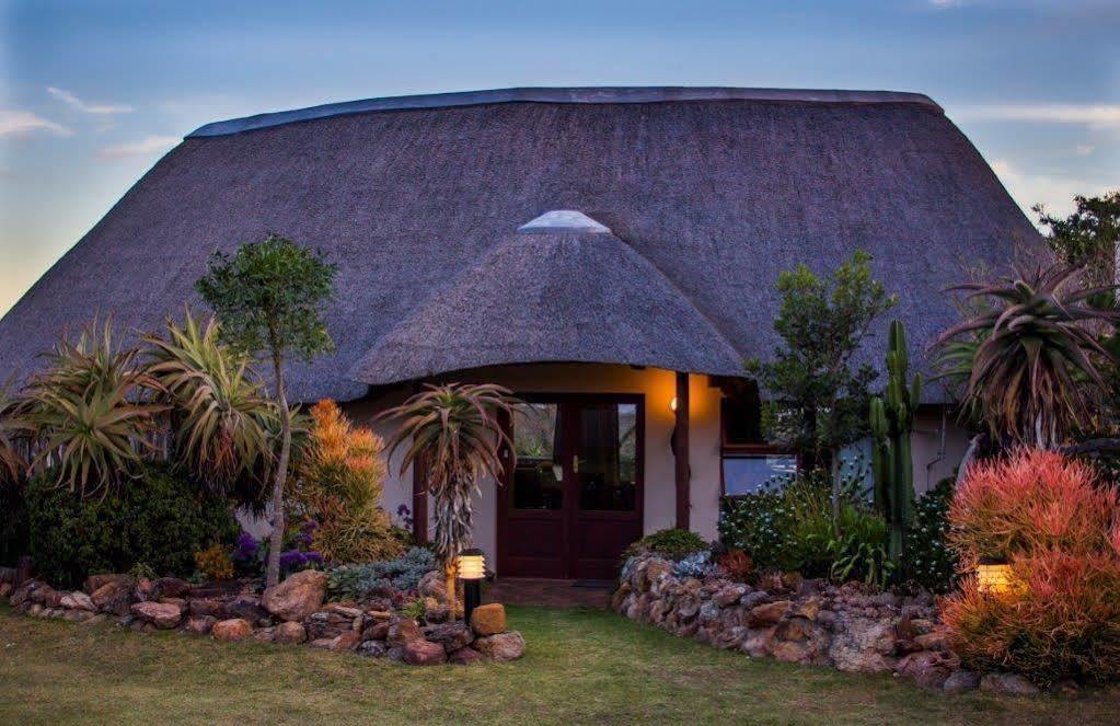 Addo Elephant Safari Lodge - Bellevue Forest Reserve Paterson Экстерьер фото