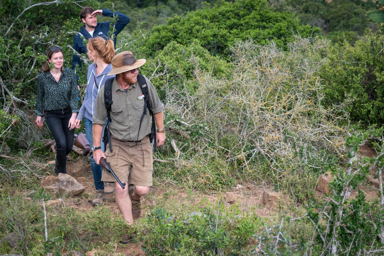 Addo Elephant Safari Lodge - Bellevue Forest Reserve Paterson Экстерьер фото