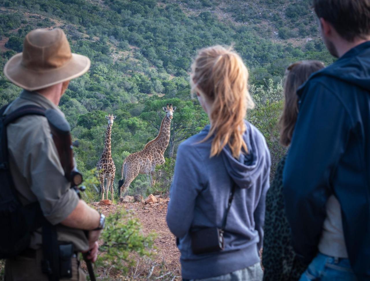 Addo Elephant Safari Lodge - Bellevue Forest Reserve Paterson Экстерьер фото