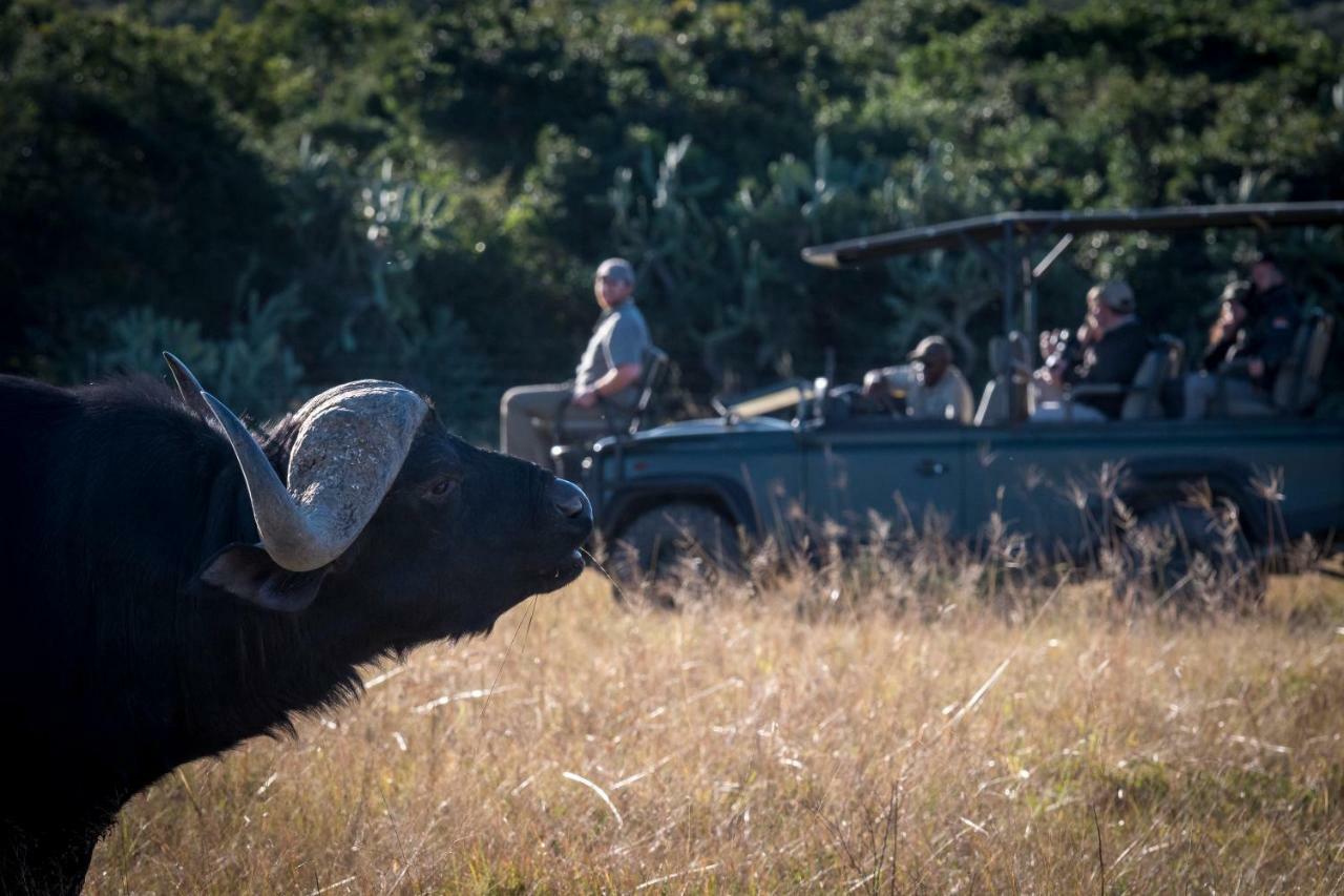 Addo Elephant Safari Lodge - Bellevue Forest Reserve Paterson Экстерьер фото