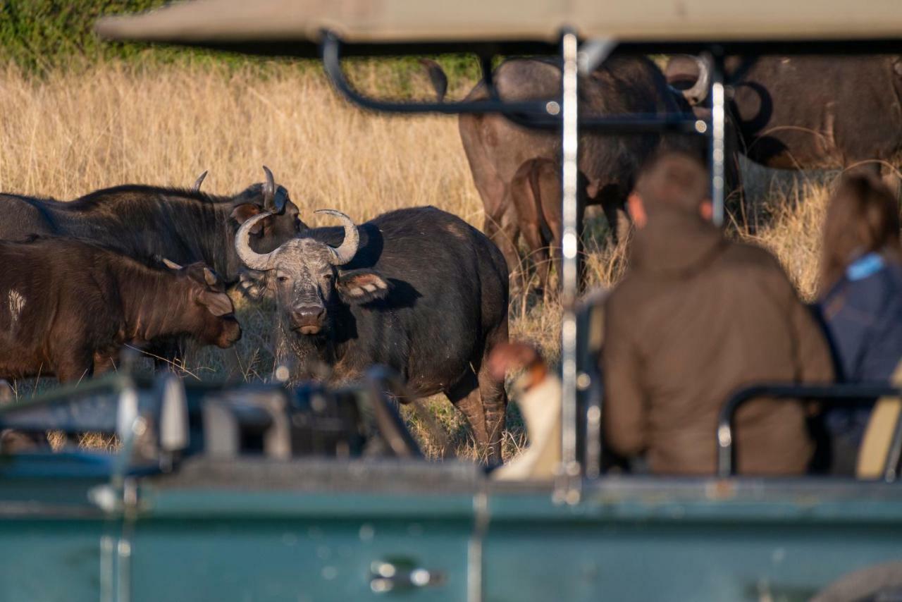 Addo Elephant Safari Lodge - Bellevue Forest Reserve Paterson Экстерьер фото