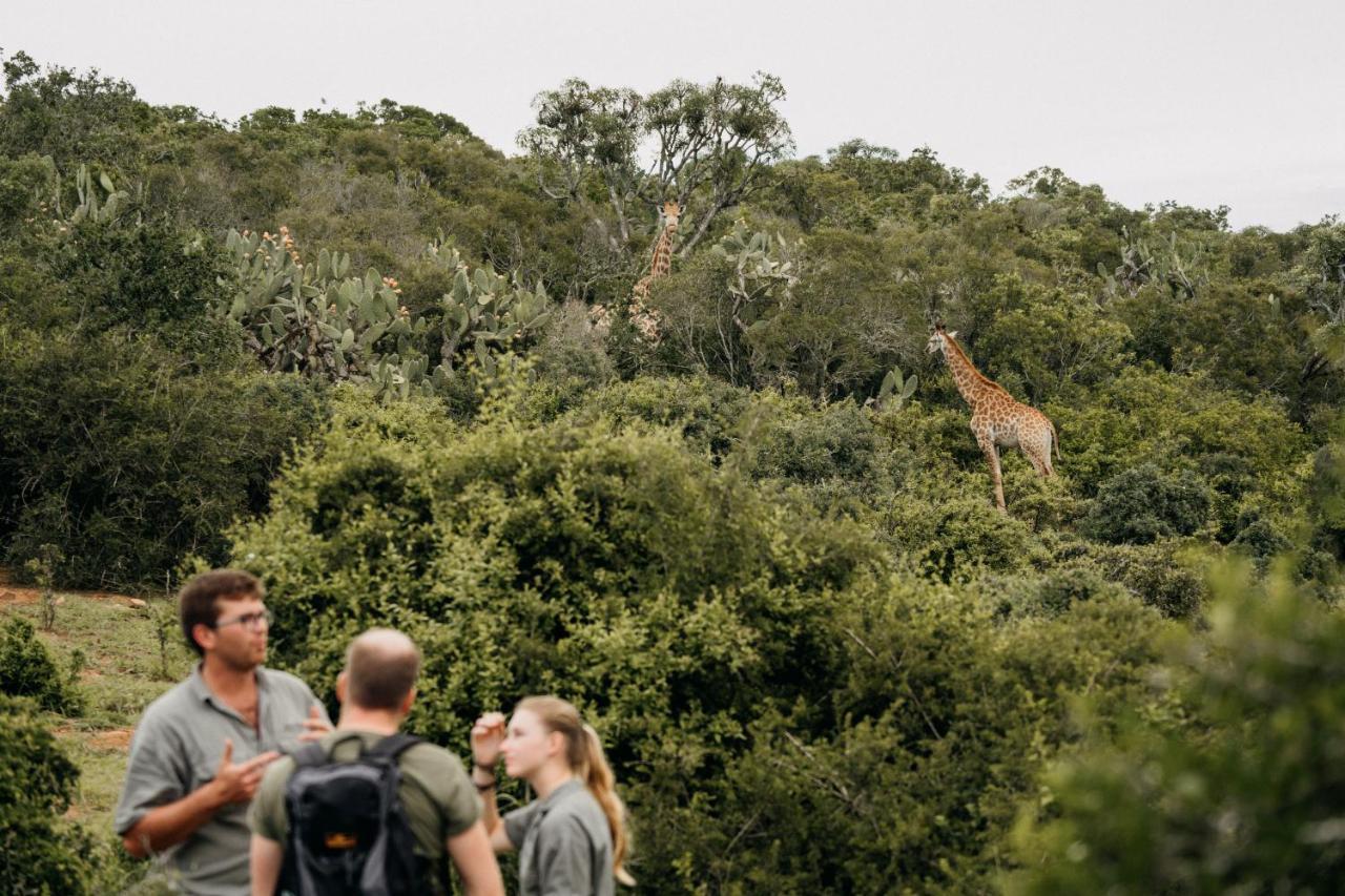 Addo Elephant Safari Lodge - Bellevue Forest Reserve Paterson Экстерьер фото